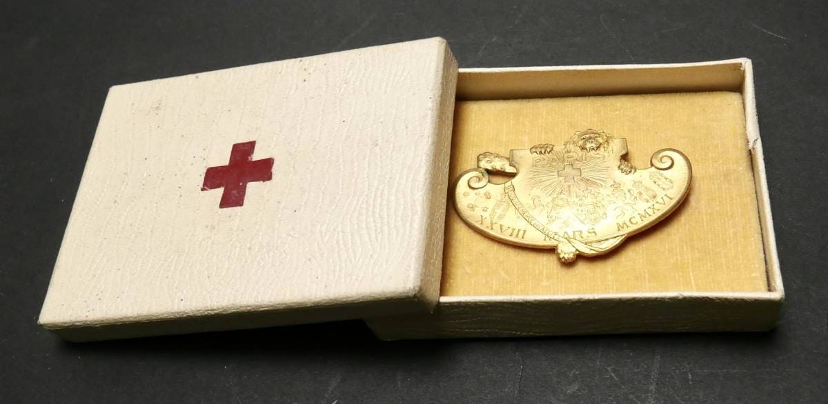 1916 Red Cross Allies'  Conference in Paris Badge.jpg 1916 Red Cross Allies'  Conference in Paris Badge.jpg