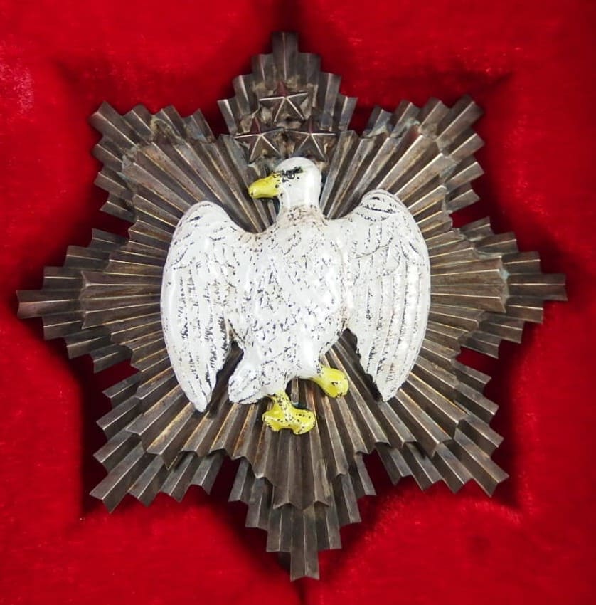 1st class cased fake breast star.jpg