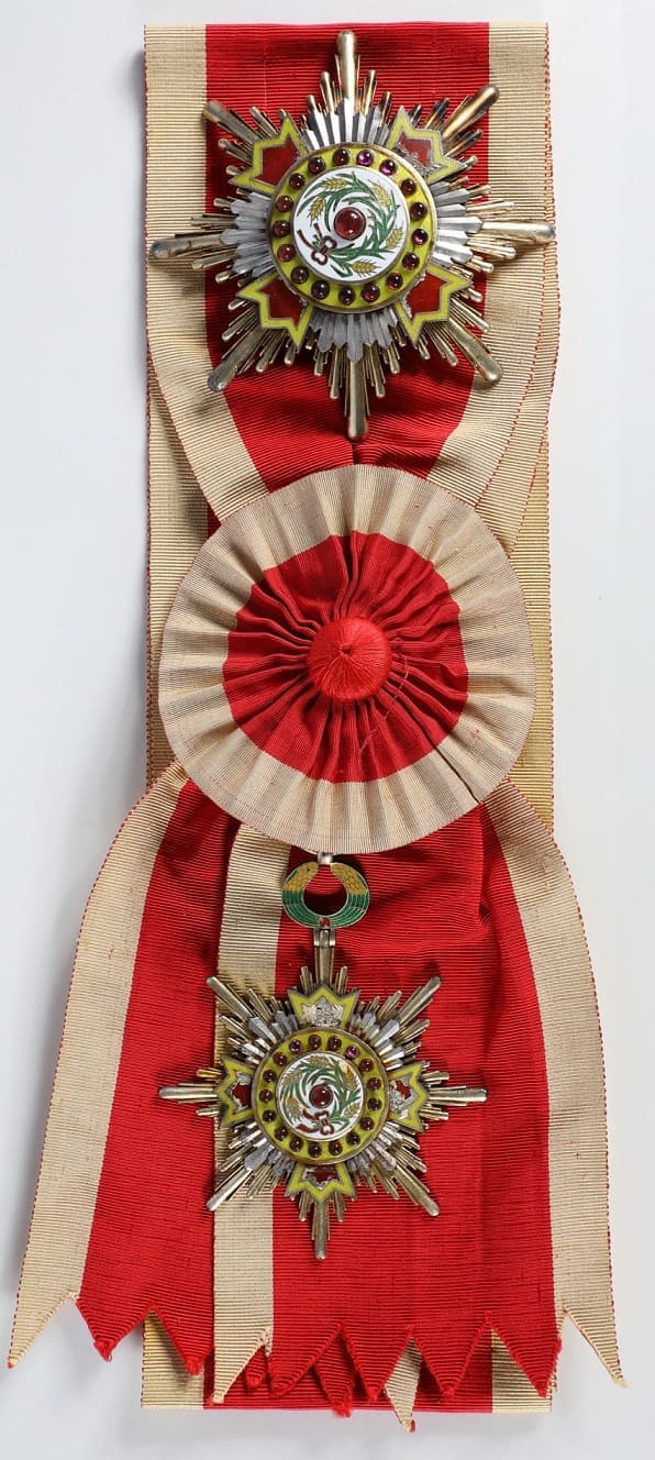 1st class Orders of Precious Brilliant Golden Grain/一等寳光嘉禾