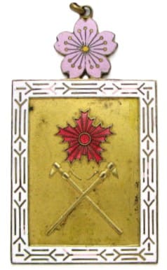 20 Years of Continuous Service  Badge.jpg