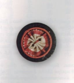 2nd class Order of the  Rising Sun in Cases for Foreigners.jpg