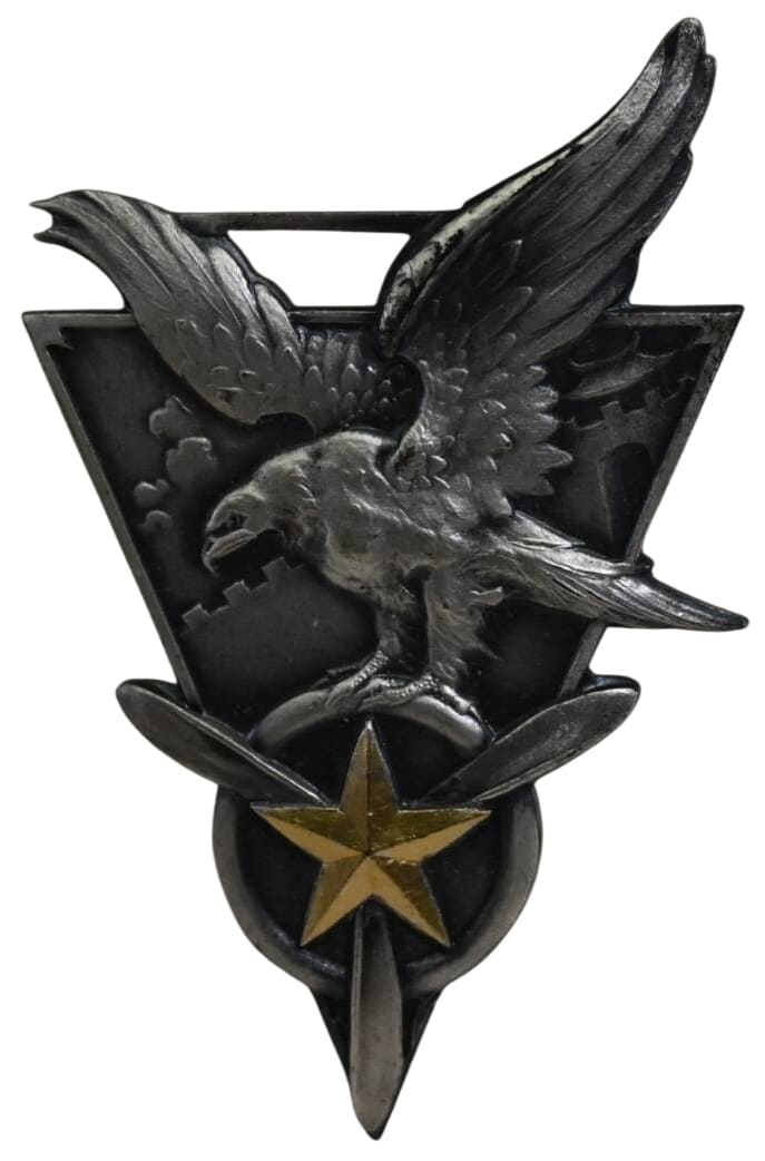 2nd Daitai Victory Commemorative Watch Fob 行第二大隊戦勝記念章.jpg