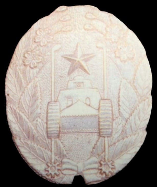 2nd variation badge.jpg