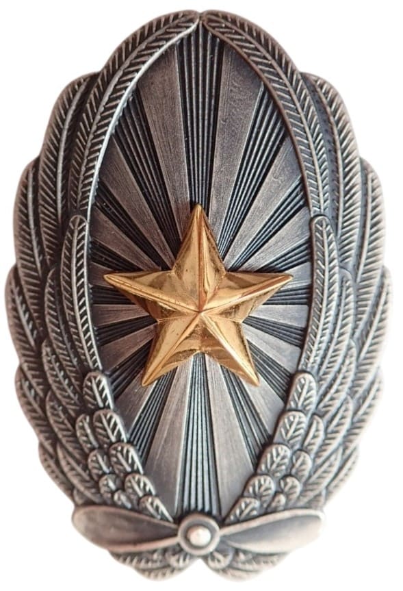 2th Class of Youth Pilots Veteran's Badge.jpg