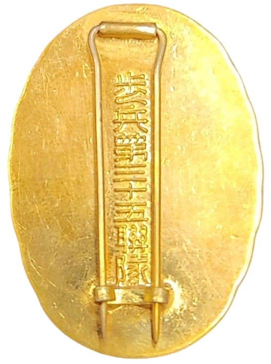 35th Infantry Regiment Battle  Flag Supporting Association Badges.jpg