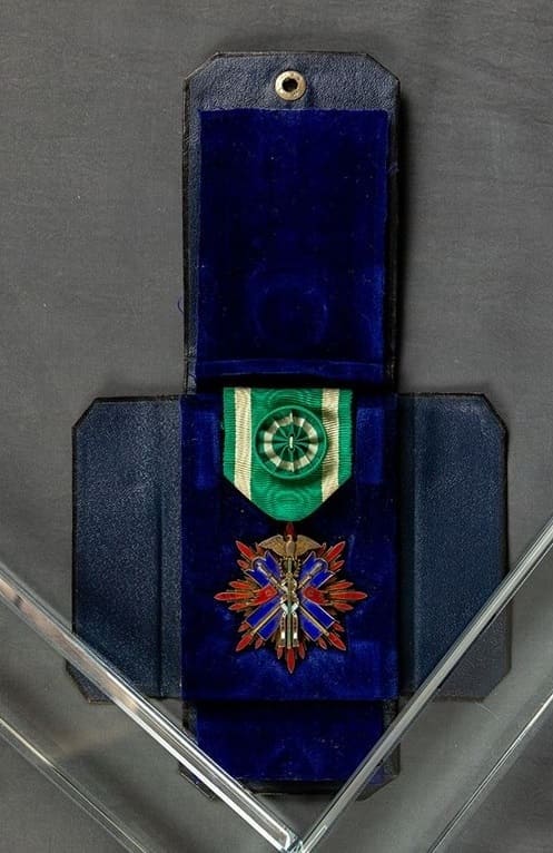 4th class Golden Kite order with a field  case.jpg
