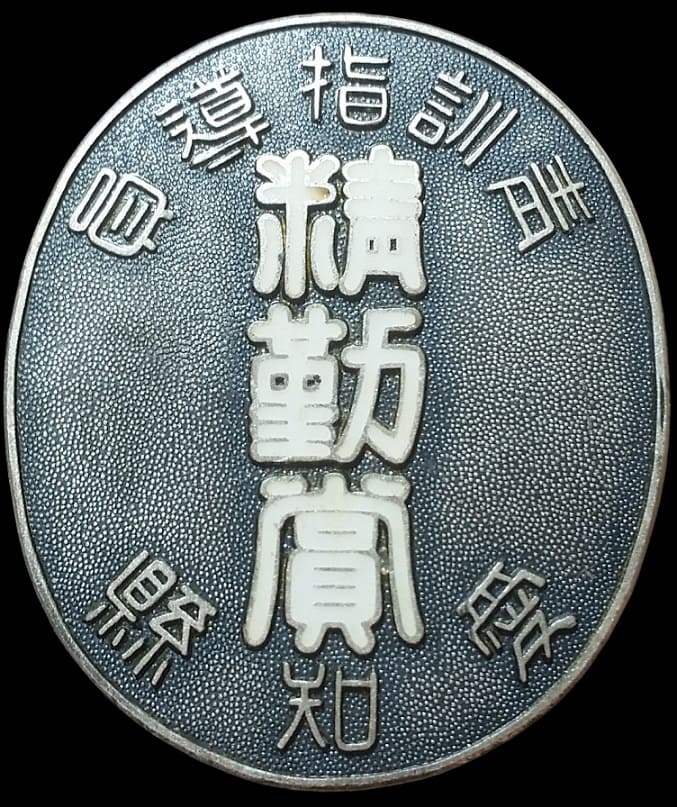 Aichi Prefecture Youth Instructor Diligence Award Badge.jpg