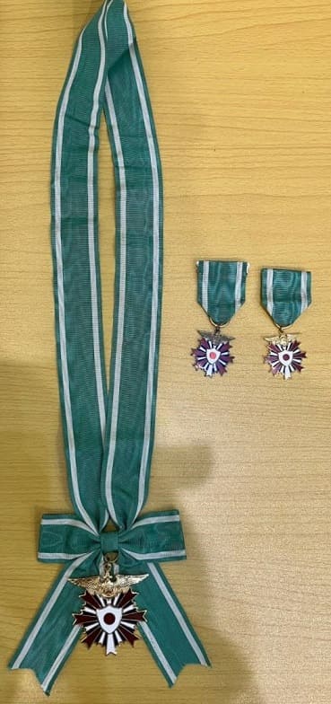 Air  Force Badge  航空集団章.jpg