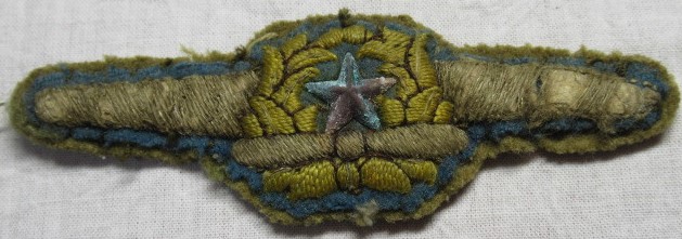 Air Force Breast Badge 航空胸章.jpg