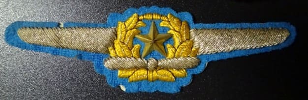 Air Force Breast Badge.jpg