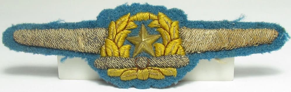 Air Force Breast Badge航空胸章.jpg