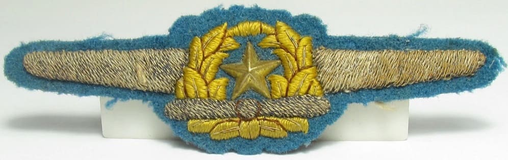 Air Force Breast Badge航空胸章.jpg