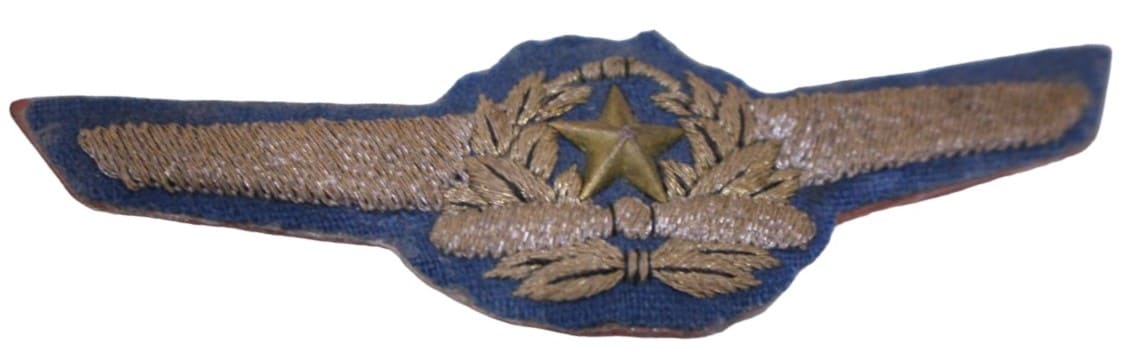 Air Force Breast Badge.jpg
