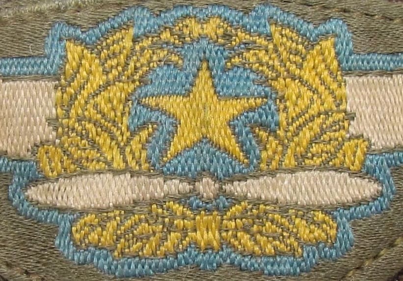 Air Force Breast  Badge 航空胸章.jpg