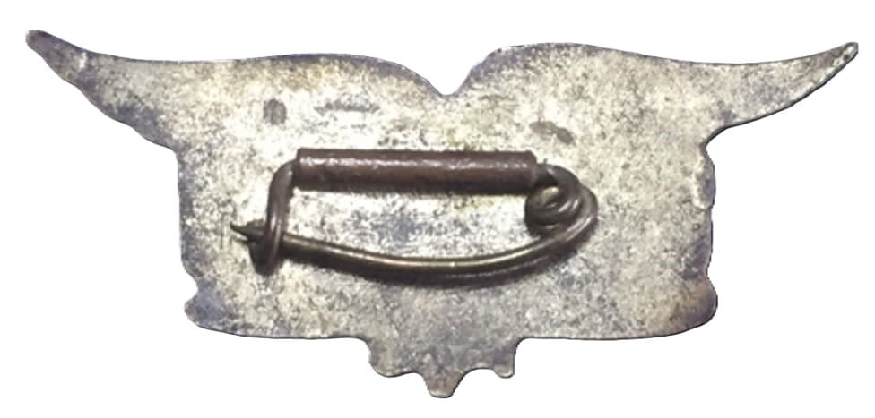 Arawashi_Badge.jpg