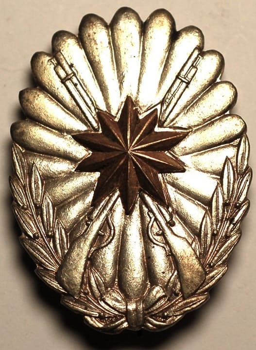 Army Infantry School  Detachment Commemorative Badge.jpg