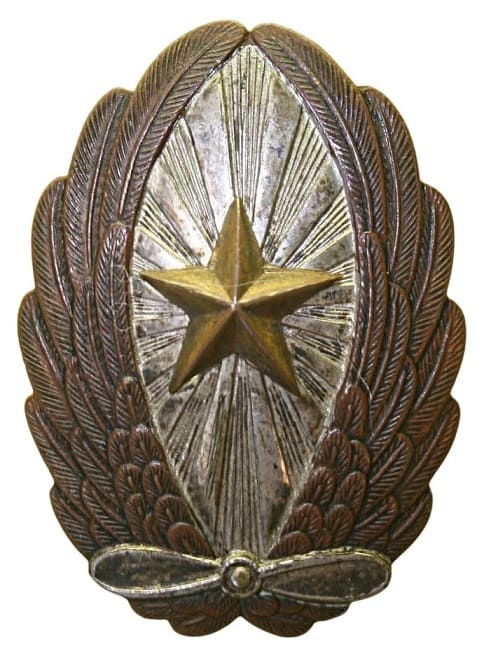 Army  Japanese Pilot Badge .jpg