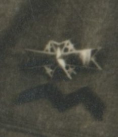 Army Military Affairs Merit Badge in wear..jpg