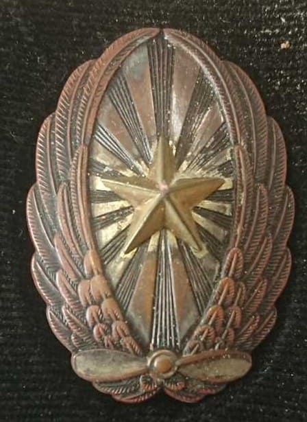 陸軍飛行機操縦徽章 Army Pilot's Badge.jpg