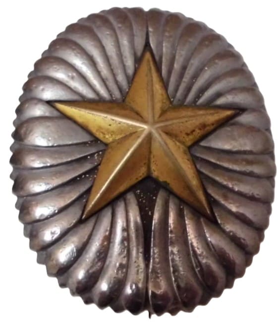 Army War College Graduation Badge.jpg