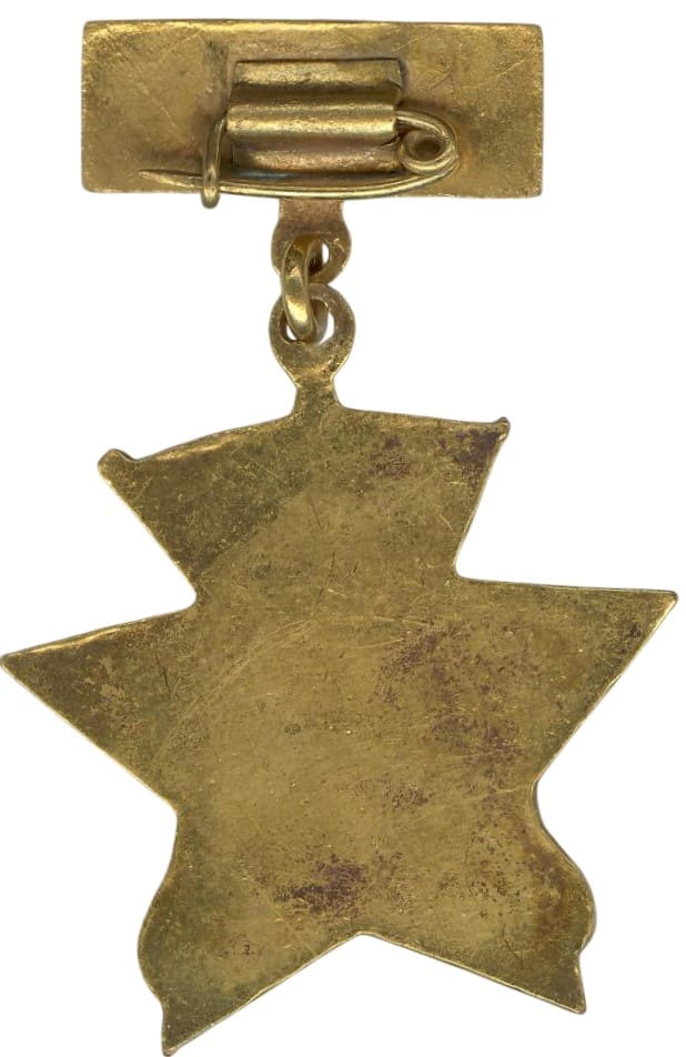 Badge of Honor of the Red Cross  Society of the DPRK.jpeg