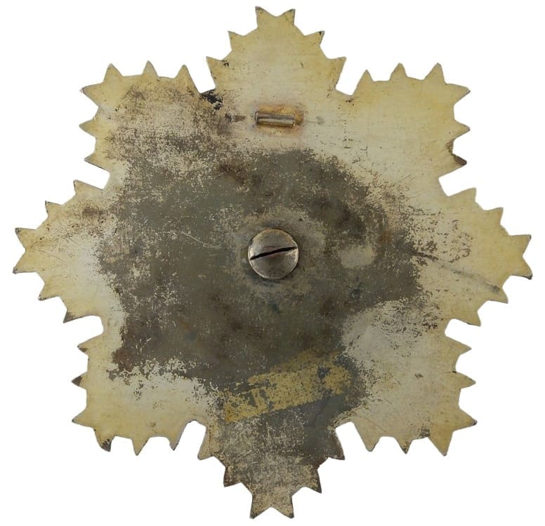 Bodong County  Promoting Good Governance and Benefiting the People Award Medal.jpg