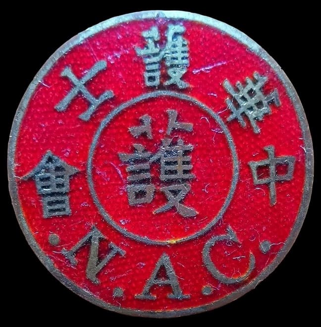 Chinese Nurses Association Badge.jpg