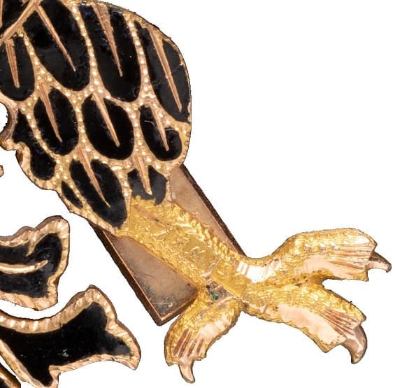 Claw marks.jpg