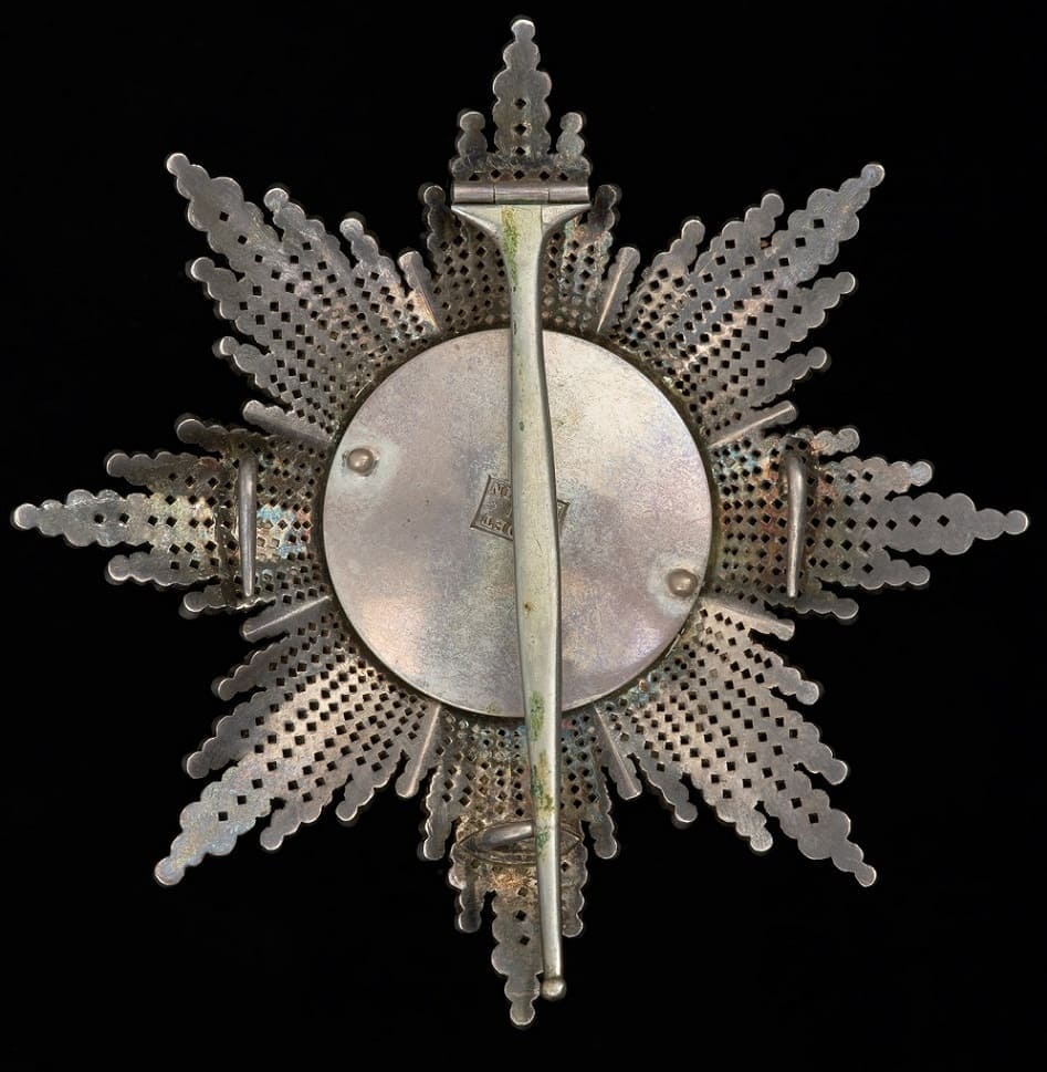 Diamond-cut Godet-made  breast star.jpg