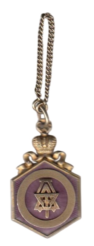 Enameled jetton in gilded silver.jpg