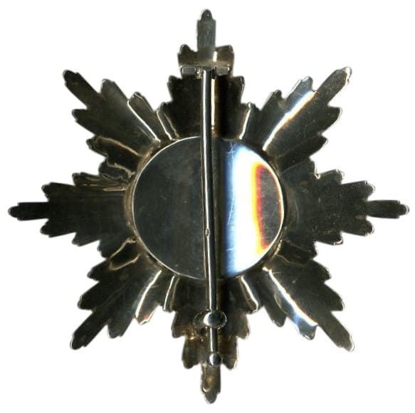 Fake 1st class breast star  made by Rothe.jpg