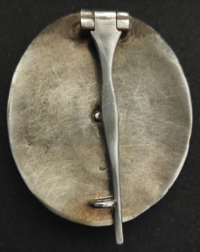 Fake 2nd Type Naval Academy Graduation  Badge.jpg