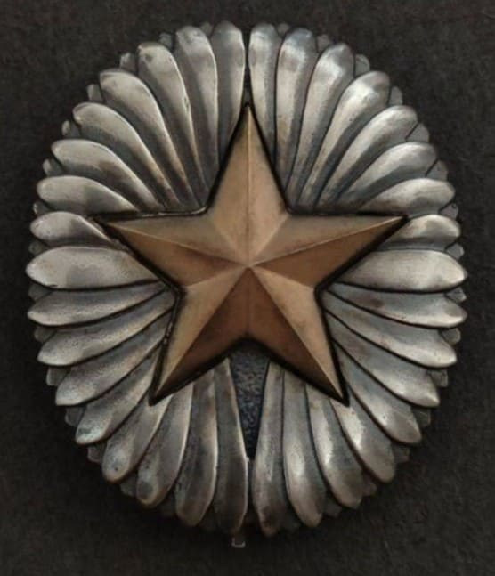 Fake Army War  College Graduation Badge.jpg