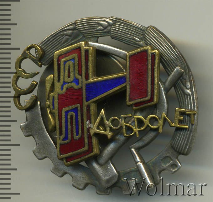 Fake  Badge of the Dobrolyot.jpg