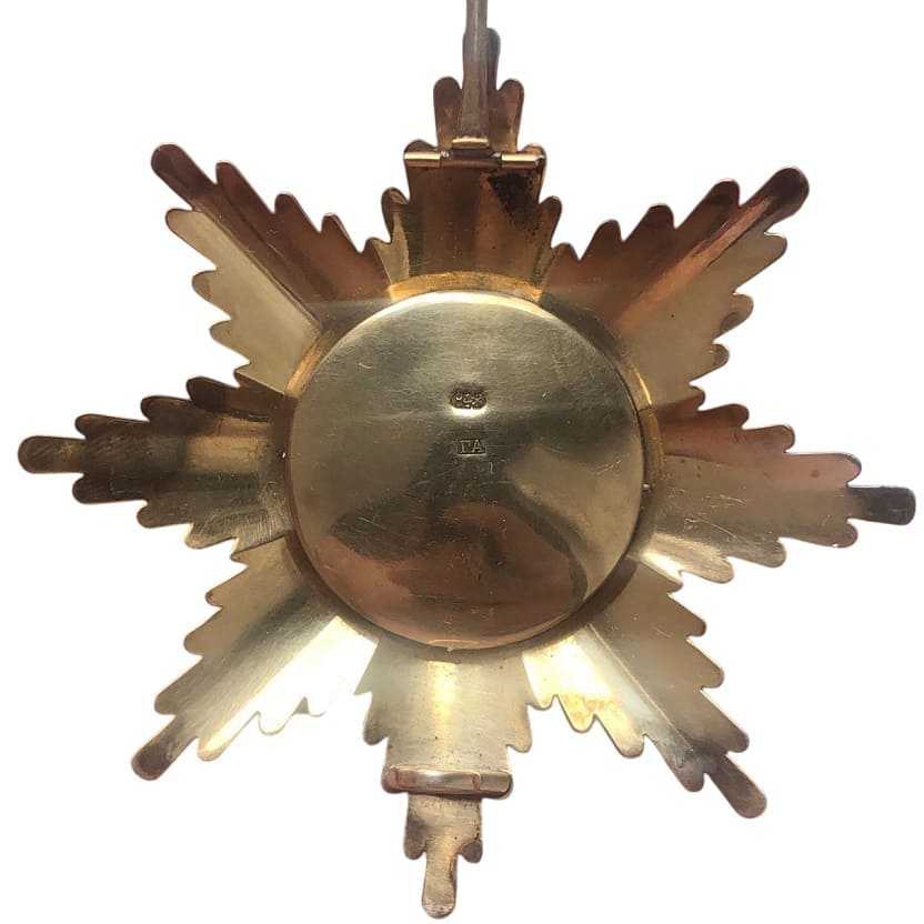 Fake breast star of Saint Vladimir  order.jpg