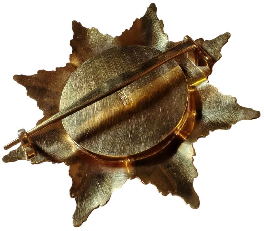 Fake breast star of Saint Vladimir  order.jpg