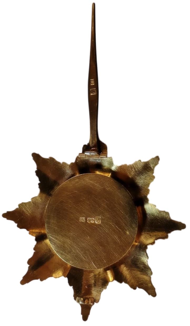 Fake  breast star of Saint Vladimir order.jpg