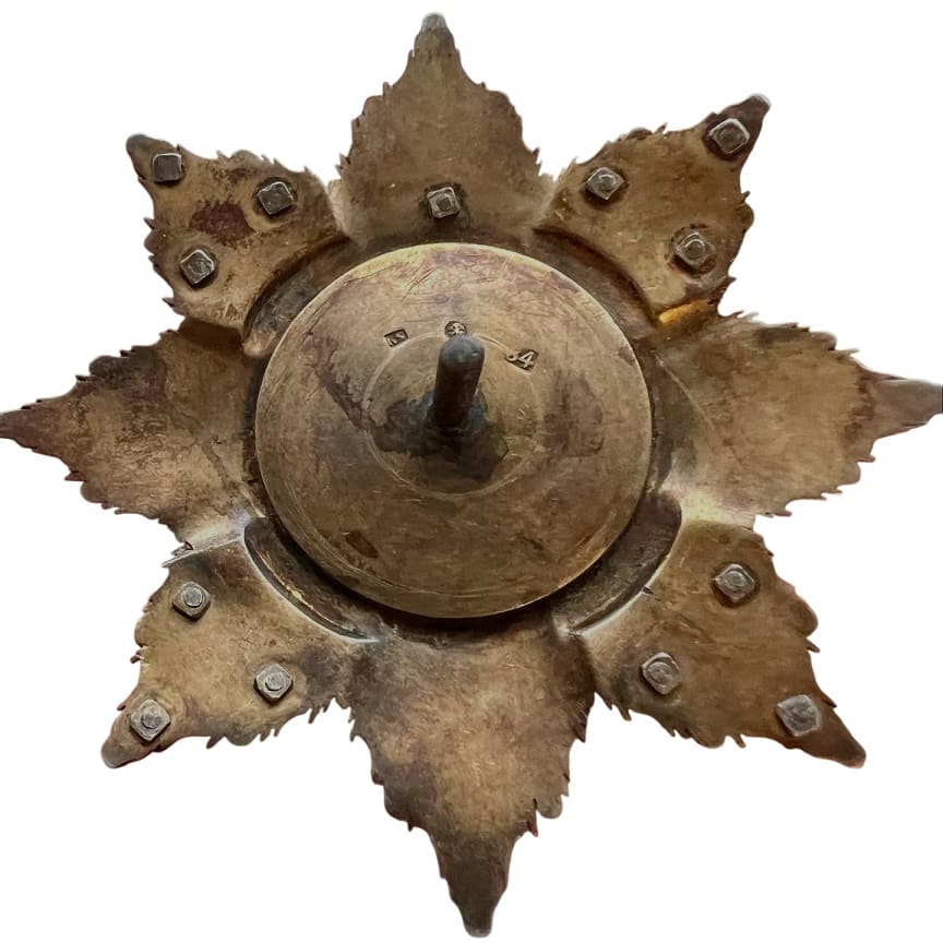Fake Breast star  of Saint Vladimir order with swords above the central medallion.jpg