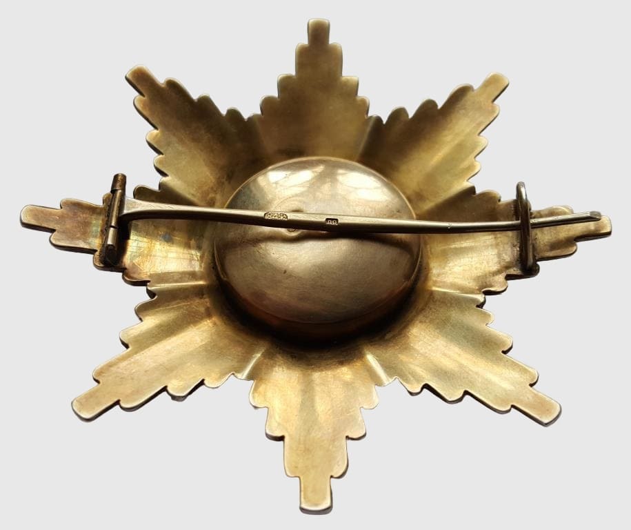 Fake  breast star of St. Alexander Nevsky order.jpg