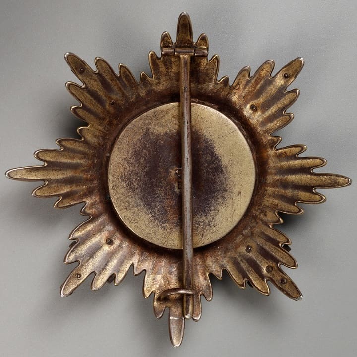 Fake breast  star Order of the White Eagle.jpg