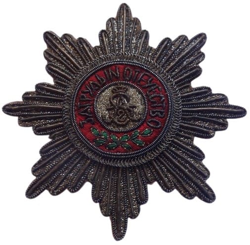 Fake embroidered breast star.jpg
