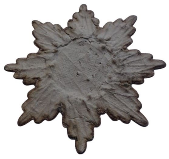 Fake  embroidered breast star.jpg
