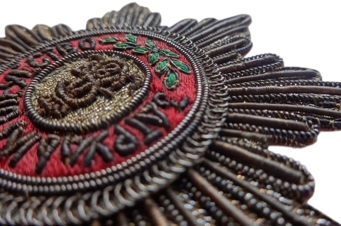 Fake embroidered  breast  star.jpg