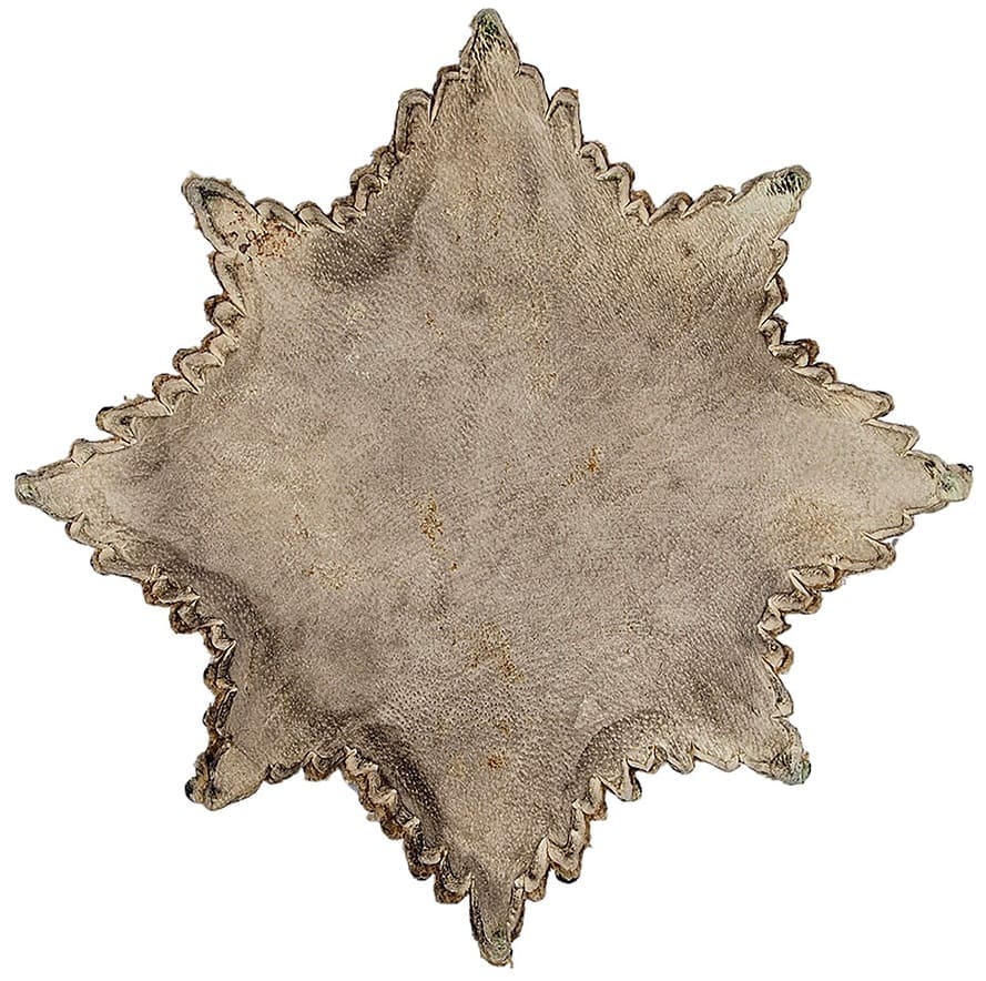 Fake  embroidered breast star of  Saint Andrew order.jpg