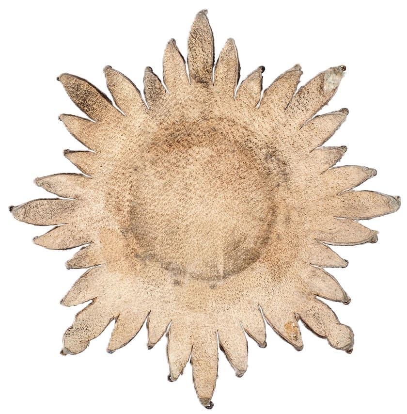 Fake embroidered breast star of  Saint Andrew order with swords.jpg