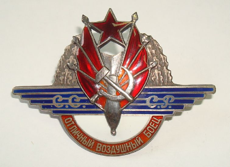 Fake Excellent Air  Fighter Badge.JPG