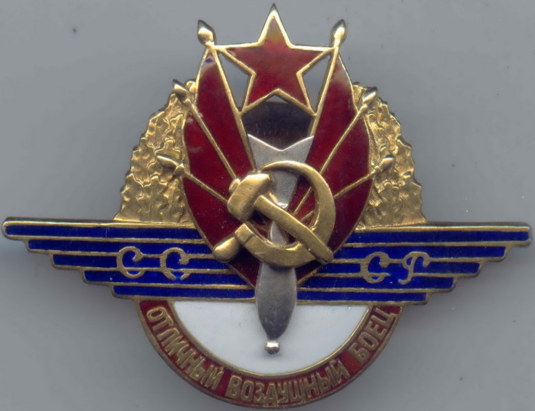 Fake Excellent Air Fighter Badge.JPG