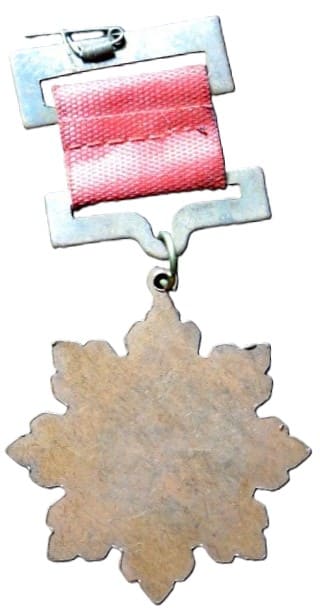 Fake Harbin Flood  Emergency Relief Association Medal.jpg