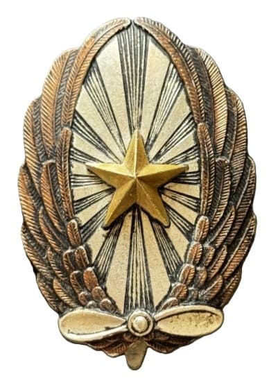Fake Japanese  Pilot badge.jpg