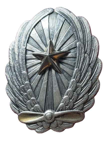Fake Japanese   Pilot badge.jpg